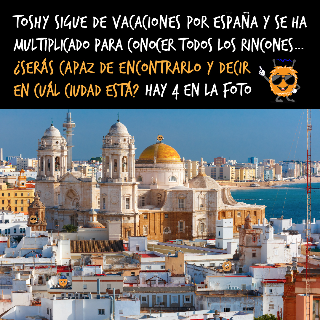 BitcoinRock tweet media