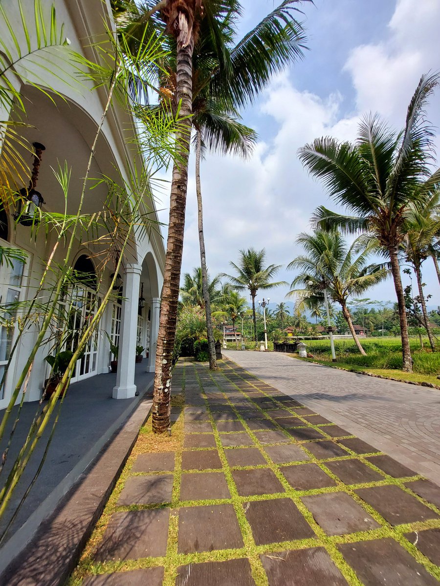 everyshineever's tweet image. La La Land

#samsunga52s