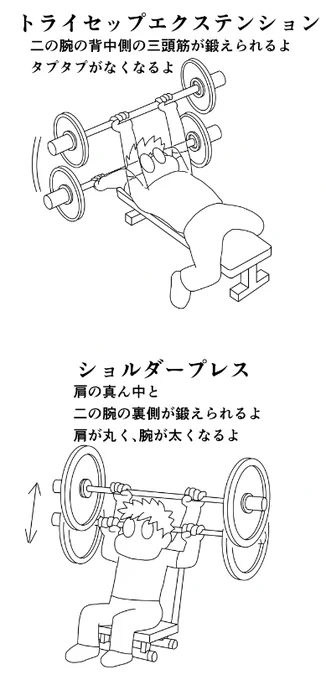 今日のトレ 早朝ジョギングなし トライセップエクステンション30k10x3,35k10,40k5x3 ショルダープレス40k10x3,50k7,5,5 バーベルフレンチ10k10x3,20k10,7,8 クランチ前左右各40x3 ケーブルバープレスダウン40k10x3 ケーブルローププレスダウン30k10x3 80分 #筋トレ #ダイエット