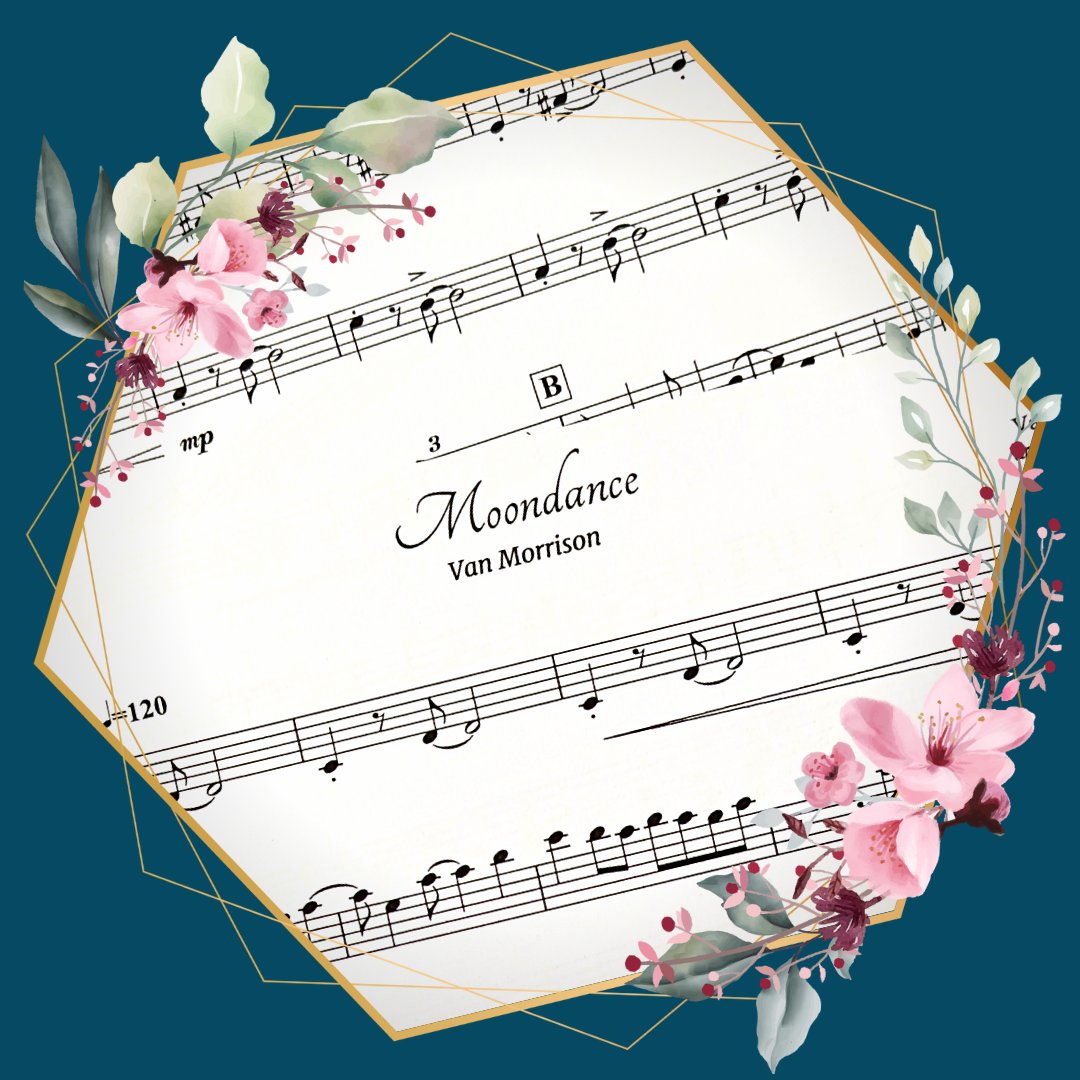 IndiaRoseString's tweet image. Moondance by Van Morrison - This baby brings sparkling energy to your drinks reception. Looking for a classy sound for your drinks reception but don't really fancy Classical music? Jazz is your oyster! 🎻
#indiarosestringsrepertoire #gettingmarried2023 #stringquartetyorkshire