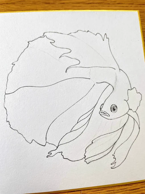 描くぞーベタが好き#絵描きさんと繋がりたい #イラスト #イラスト好きな人と繋がりたい #ベタ#ペン画を流してペン画民を増やそう #少しでもいいなと思ったらRTorいいね#手書き #ペン画 