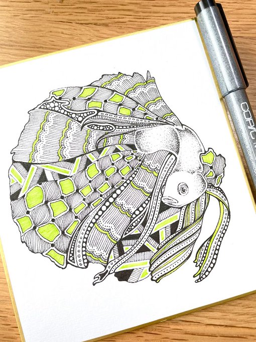 少しでもいいなと思ったらrtorいいねのtwitterイラスト作品