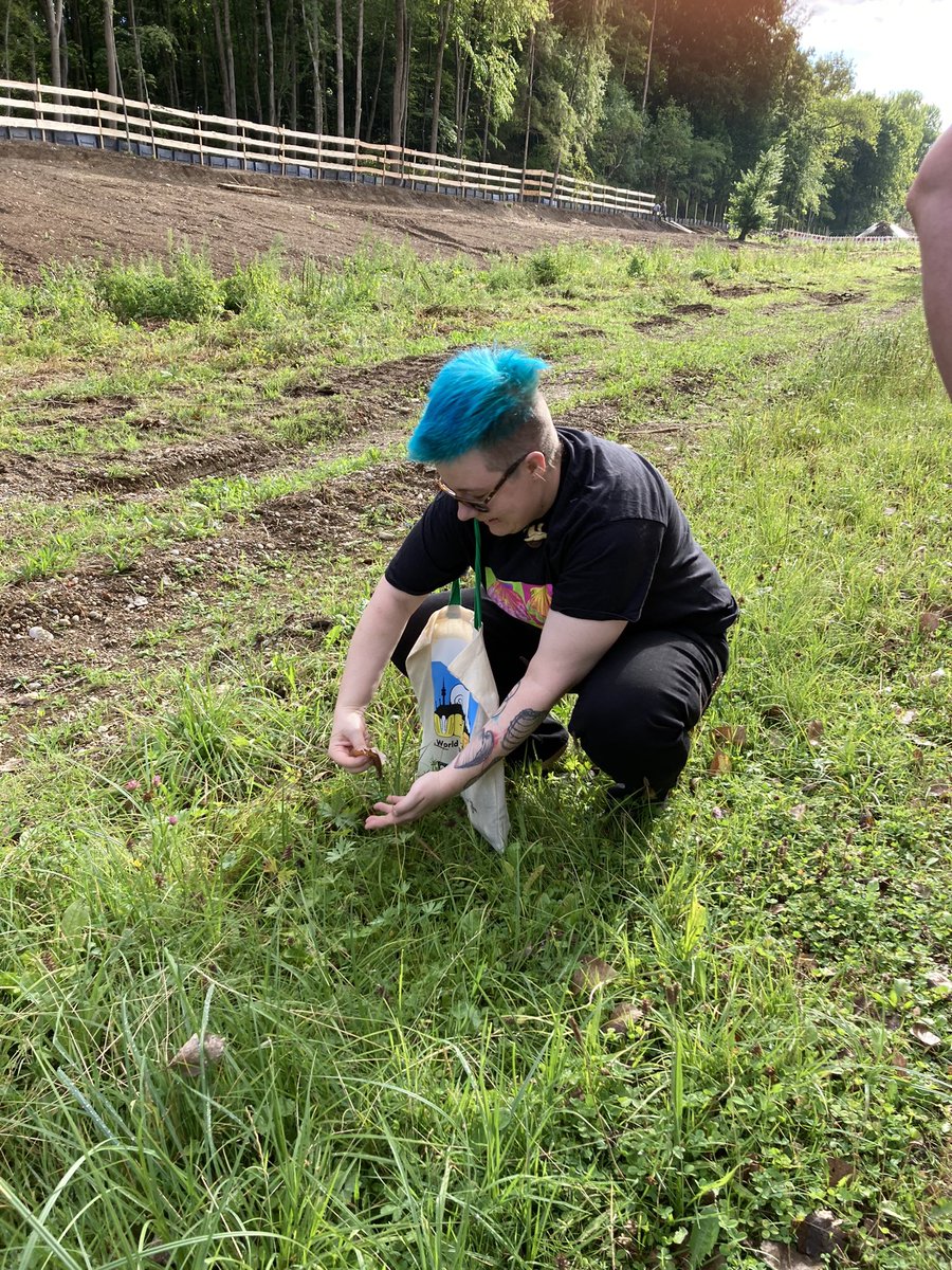 Dr. Jessica Goodheart tweet media