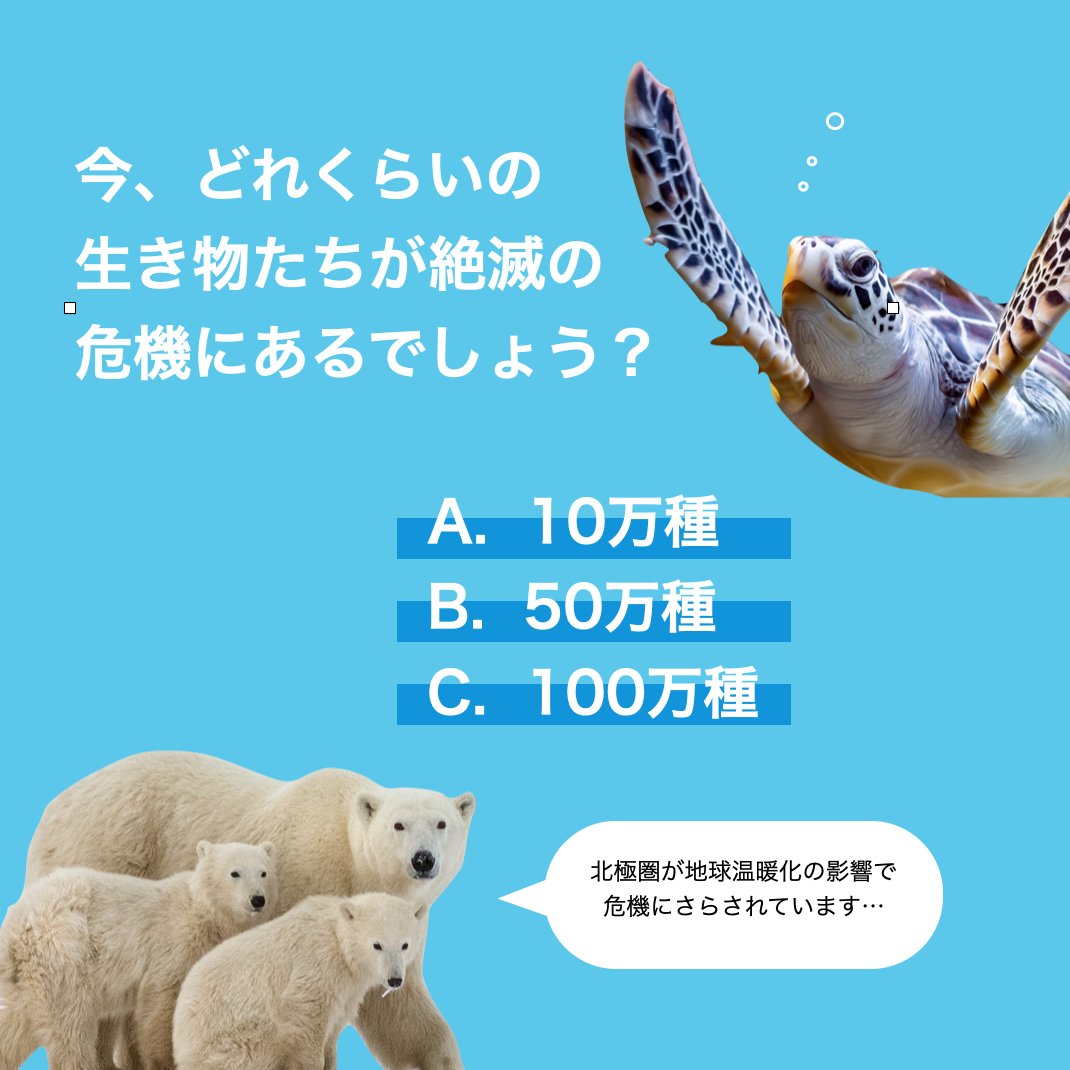 ✨🌿環境問題クイズ🌿✨
今、どれくらいの生き物たちが絶滅の危機にあるでしょう？
　
A. 10万種
B. 50万種
C. 100万種
　
答えはこちらの動画をチェック👀👇
youtube.com/watch?v=DTW5um…
#生物多様性 #地球温暖化 #環境問題