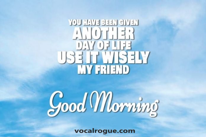 vocal_rogue's tweet photo. Happy Tuesday World!
Did you get yourself a good nights sleep?
Well today we are wishing you our community, all of the days blessings in abundance 👌
#communitynatter #seekthehelp #positivityvsnegativity https://t.co/8SNrXdFNcR