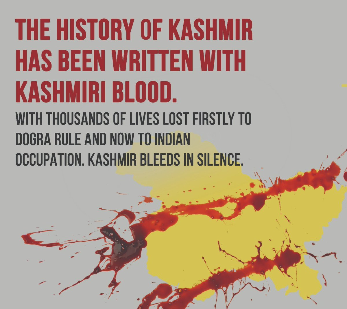 Annaya_4's tweet photo. It was impossible to get a complete picture of Indian atrocities in Kashmir due to the harassment of human rights investigators and restrictions placed on them by the Indian authorities.
#KashmiriLivesMatter
#AnOpenPrisonIIOJK
#BehindYouBajwa
#NoArmyNoPakistan
#ILovePakArmy https://t.co/5wRhbA5QjG