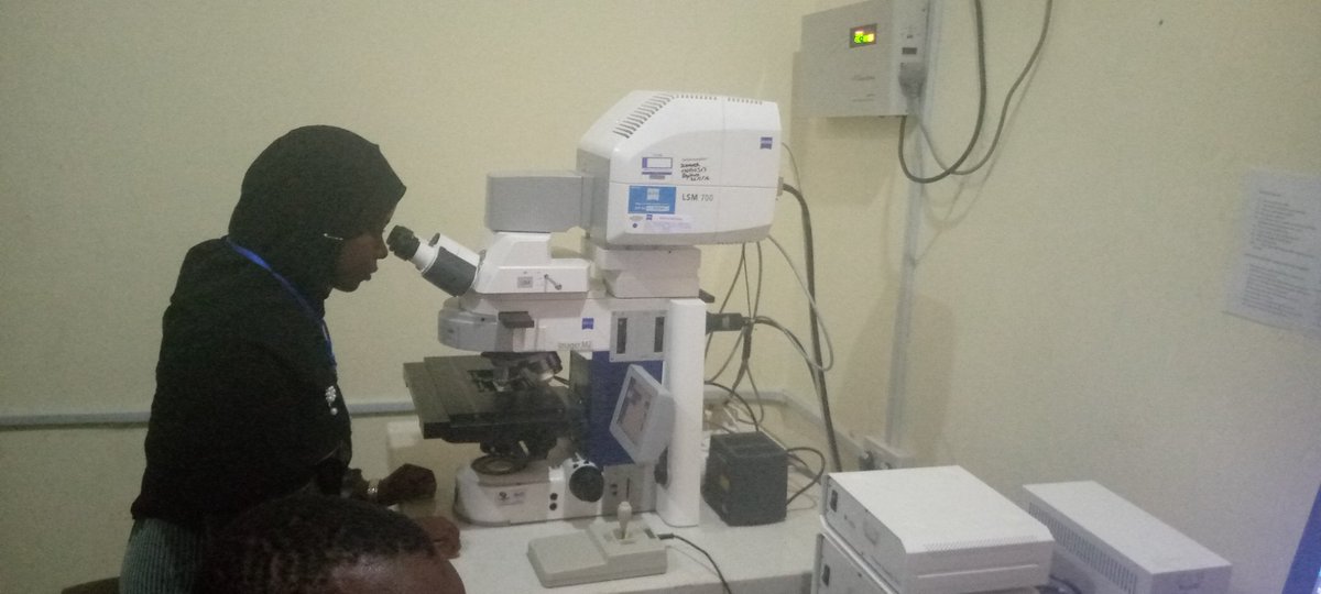 Hidaayah Jimoh-Abdulghaffaar (@jimohhidaayah) on Twitter photo Viewing the dissected Droso brain under the only confocal microscope in Nigeria & West Africa <a href="/BioRTCNig/">BioRTC</a> #BioRTCNig2022
<a href="/cziscience/">CZI Science</a>
<a href="/TReNDinAfrica/">TReND in Africa</a>
<a href="/Co_Biologists/">The Company of Biologists</a>
<a href="/droso4nigeria/">QueenR</a>
<a href="/mahmoudbukar/">Mahmoud Bukar Maina PhD FRSA</a>
<a href="/issaraouf/">ISSA</a>
<a href="/FolarinRoyhaan/">Royhaan Folarin</a> Viewing the dissected Droso brain under the only confocal microscope in Nigeria & West Africa <a href="/BioRTCNig/">BioRTC</a> #BioRTCNig2022
<a href="/cziscience/">CZI Science</a>
<a href="/TReNDinAfrica/">TReND in Africa</a>
<a href="/Co_Biologists/">The Company of Biologists</a>
<a href="/droso4nigeria/">QueenR</a>
<a href="/mahmoudbukar/">Mahmoud Bukar Maina PhD FRSA</a>
<a href="/issaraouf/">ISSA</a>
<a href="/FolarinRoyhaan/">Royhaan Folarin</a>