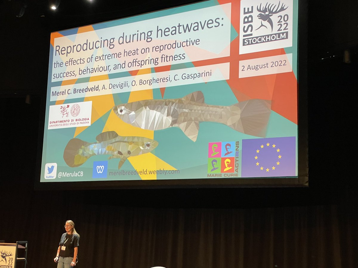 Abhishek Meena, Ph.D. tweet media