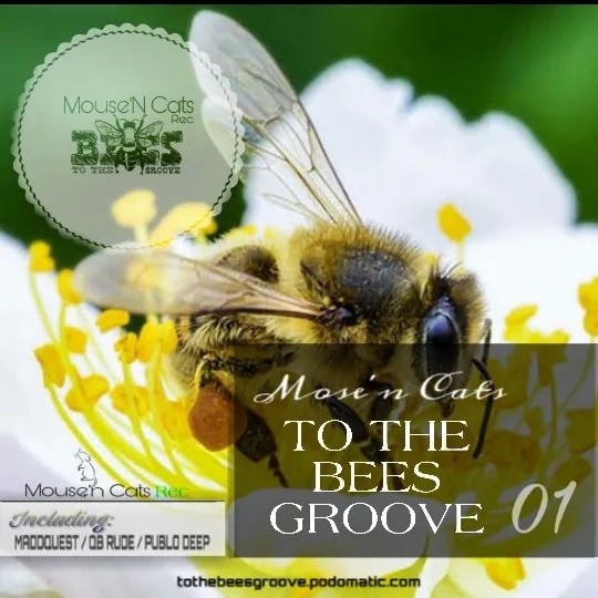 tothebeesgroove's tweet photo. Tonight!!! as we launch our first tape, Welcome to the Groove🍻 https://t.co/a6p814Clob