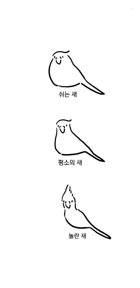 새는 너무 이렇다