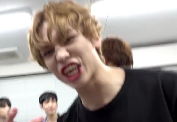 random vernon (@randombonon) on Twitter photo 