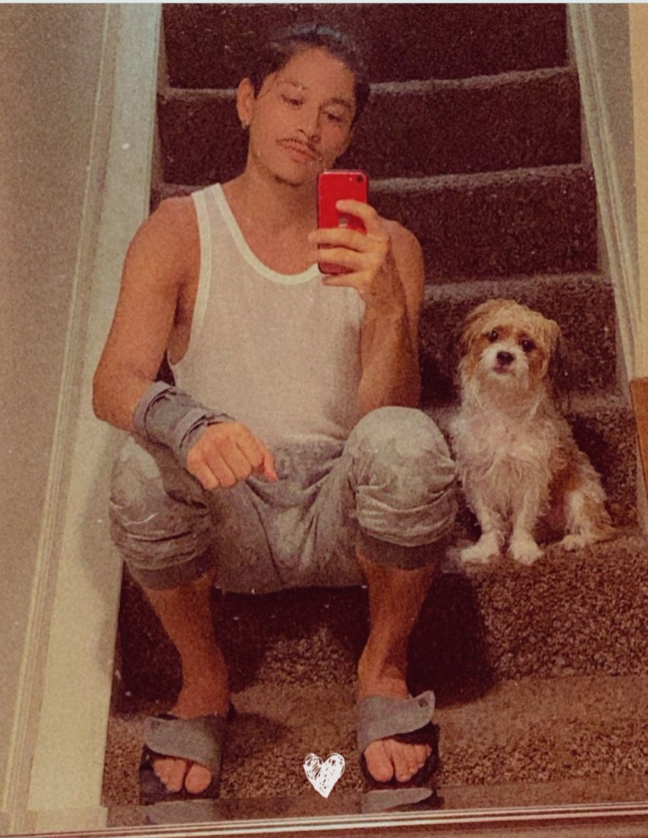 SuperCapPlanet's tweet photo. Add me to your Pokedex 😉

#puppy #latinosgay #selfie #pokedex #PokemonGoApp #Pokemon https://t.co/vJQmi2Tlzv