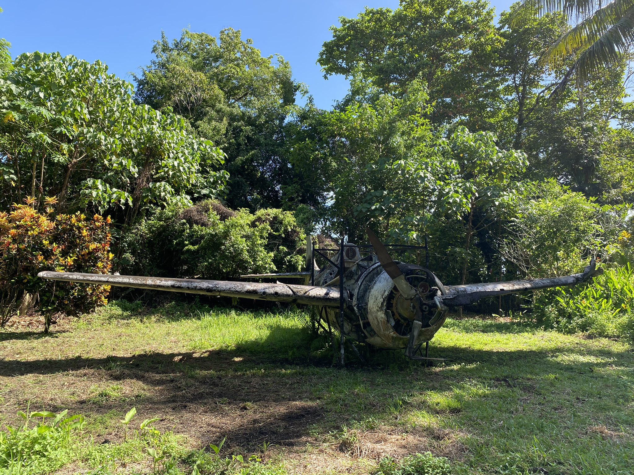 ガダルカナル島をめぐる戦い（3）撤退－太平洋戦線崩壊の足音