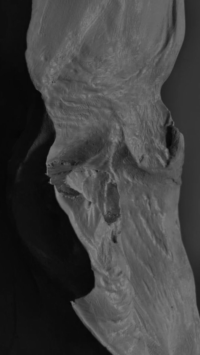 ManuelFois3's tweet image. From digital to physical form.
A generative form can become an experience
#generative #physicalform #mixedreality