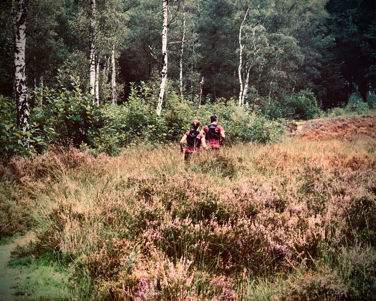 Presentatie shirtontwerp Airborne Freedom Trail 2022. 

Bestel 'm uiterlijk 7 augustus bij je inschrijving. 

➡️ Meer info: mudsweattrails.nl/presentatie-sh…