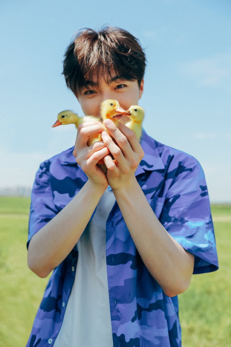 cdrama tweets tweet media