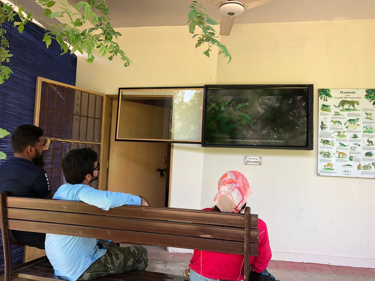 rinasaeed's tweet photo. Guided tours of Leopard Preserve Zone have started again! Interested visitors who want to book a tour (2 people minimum) please contact 0333-9038132
Ahmar Riaz Park Ranger
(Guided Tours) https://t.co/dw7MfTBsyG