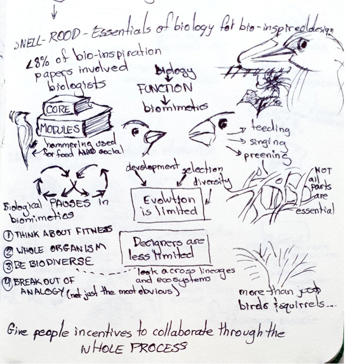 Ariel Camp (@campariel) on Twitter photo <a href="/Snellroodlab/">Emilie Snell-Rood</a> gave us a masterclass on how to integrate biology with robotic design to build strong collaborations that produce excellent bio-inspired solutions. <a href="/Snellroodlab/">Emilie Snell-Rood</a> gave us a masterclass on how to integrate biology with robotic design to build strong collaborations that produce excellent bio-inspired solutions.