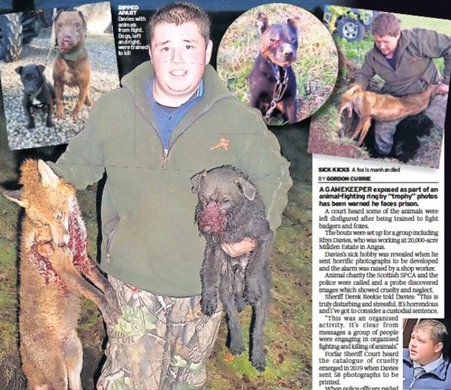 RaptorPersUK's tweet photo. Depraved Millden Estate gamekeeper jailed - @ScottishSPCA statement. ⬇️⬇️

https://t.co/P464MGHDkP https://t.co/fCIbghVmvx
