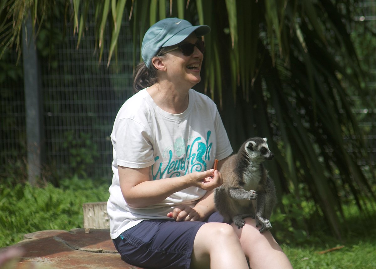 Newquay Zoo tweet media