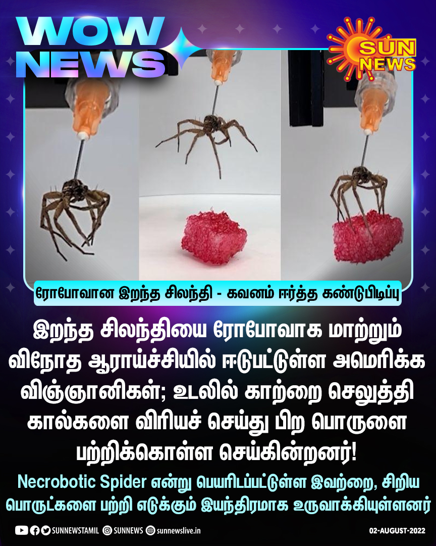 sunnewstamil's tweet photo. #WowNews | ரோபோவான இறந்த சிலந்தி - கவனம் ஈர்த்த கண்டுபிடிப்பு!
#SunNews | #Spider | #RoboticSpider | #NecroboticSpider https://t.co/DMQyUoG4kr