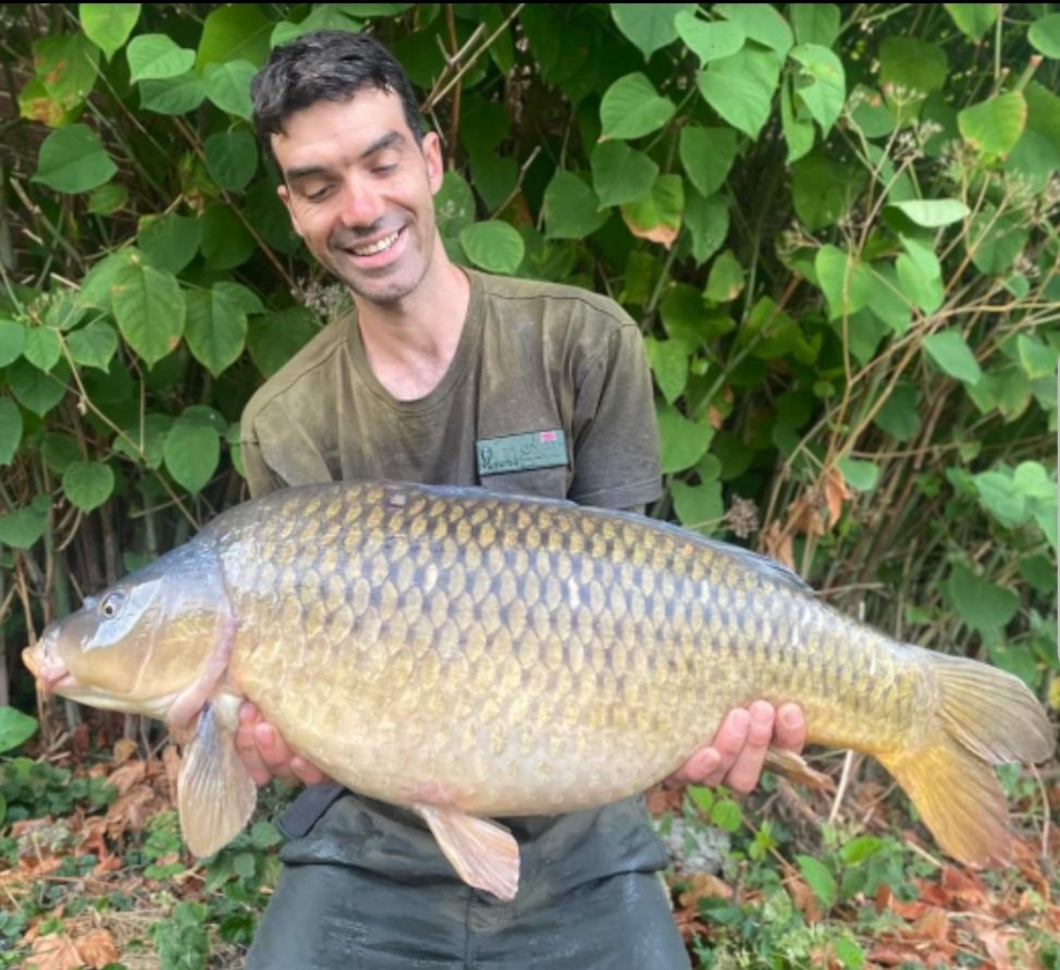 CherryCarp tweet media