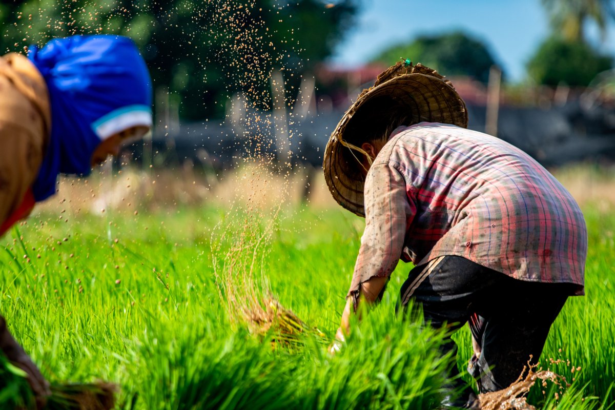 Farming First tweet media