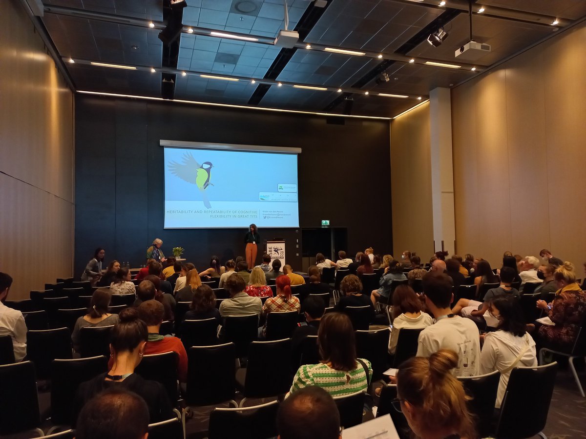 Eva Serrano-Davies (@serranodavies) on Twitter photo Ready for <a href="/KristavdHeuvel/">Krista van den Heuvel</a> talk during last #ISBE2022 session on on cognitive repeatability and heritability of revearsal learning! Ready for <a href="/KristavdHeuvel/">Krista van den Heuvel</a> talk during last #ISBE2022 session on on cognitive repeatability and heritability of revearsal learning!