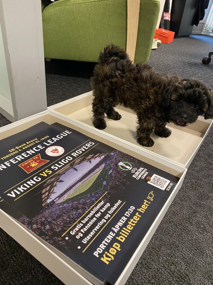 Bytter gledelig plakater mot denne skjønnasen som kom innom med familien 💙 Fortsatt mer plakater igjen for de som ønsker å hente på stadion! Fom kl 15:00 legges de i pose utenfor spillerinngangen. Takk til alle som bidrar til å farge byen mørkeblå! 🤗