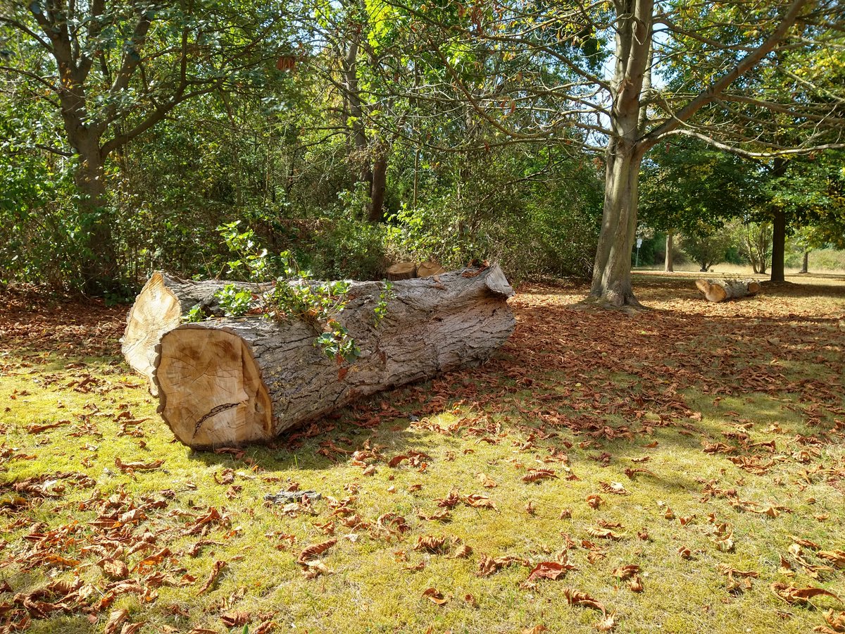 TWINCORE (inaktiv) tweet media