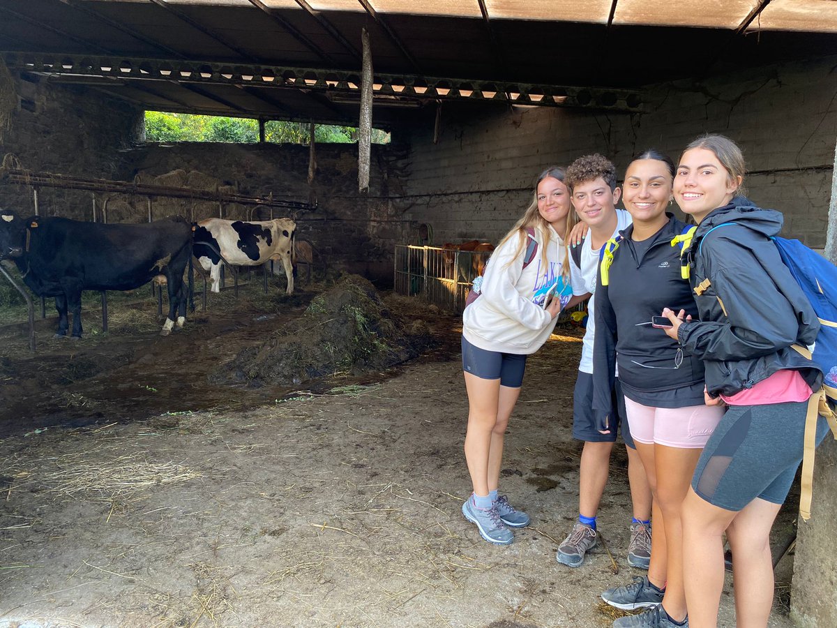 RealejosNazaret's tweet photo. Aprovechamos el comienzo del día para reflexionar y coger fuerzas. Cuarta etapa: de O Foxo a Vedra. ¡Continuamos nuestro #CaminoDeSantiago #CamiñoMiñotoRibeiroXa 
.
.
#camiñomiñotoribeiro @coleinnovadores #NazaretRealejos #MiColeMola #MomentosQueSonRegalos https://t.co/E4kjMoP1mS