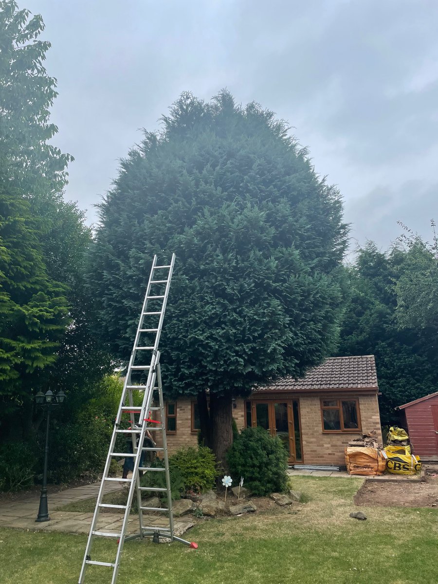 Big ole conifer trim &amp; reduction from last week.
See more at arb-aid.co.uk 
#treesurgeon #arborist #landscape #Coventry #Warwickshire