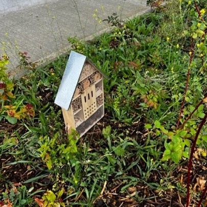 Chancerygate's tweet photo. Our insect hotels are open for business at Tonbridge Trade Park, check-in from 3pm!

#insecthotels #tonbridge https://t.co/iZAUqT3ZPG