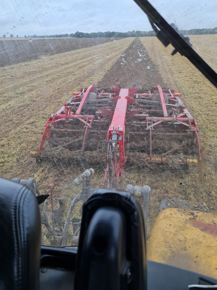 no1sunkfarmer's tweet photo. A smidgeon of chicken shite and topdown behind on the pea land is making for a good day.  The damp weather has given us a good opportunity to get this 39ha field completed before we get the #lexions munching the wheat. @CaterpillarInc @VaderstadUK @CLAAS_UK #bunnings #jobsagoodun https://t.co/JJ4uDsOXIn