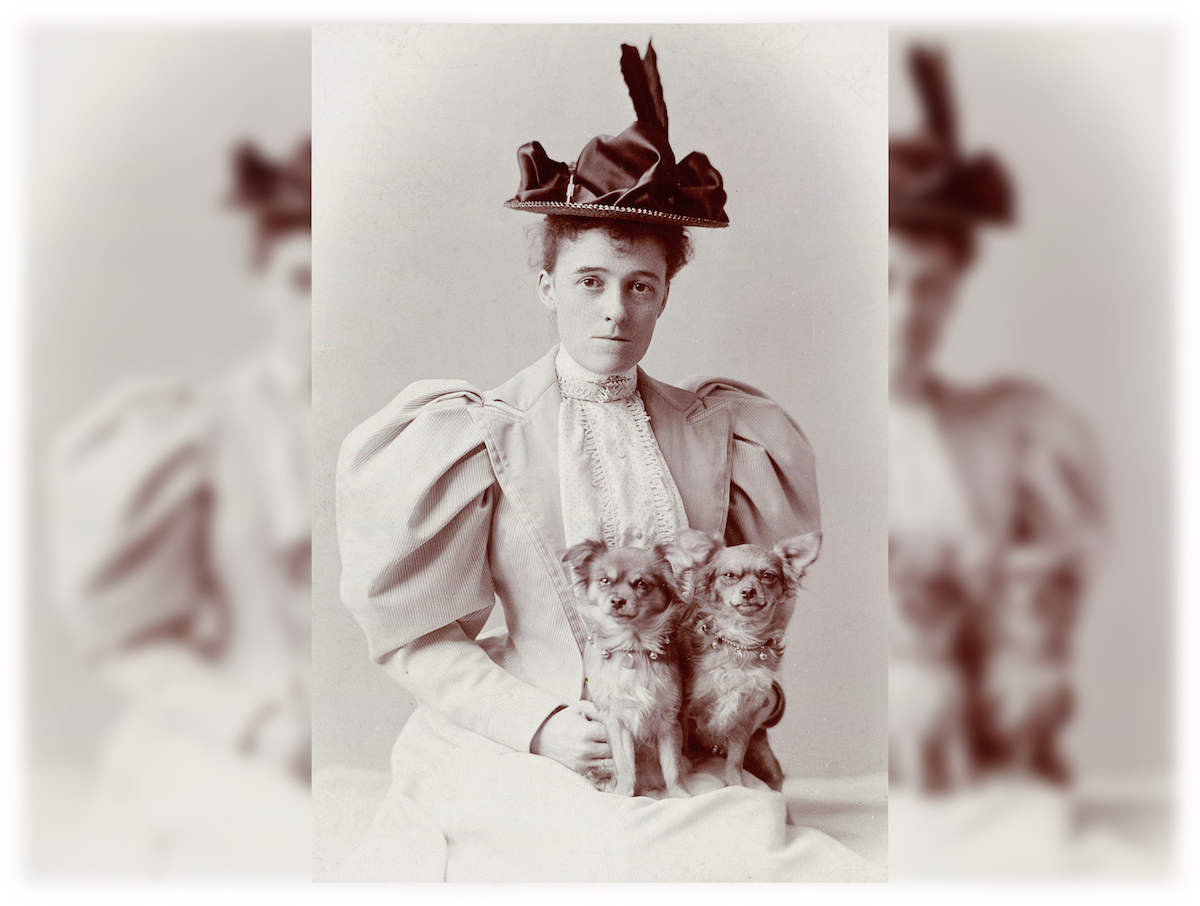 ActuaLitte's tweet photo. Télécharger les livres d'Edith Wharton https://t.co/ey4FzNr2bt 

#EdithWarton #Gratuit #ebooks #numerise #autrice https://t.co/L0ijZFgZGb
