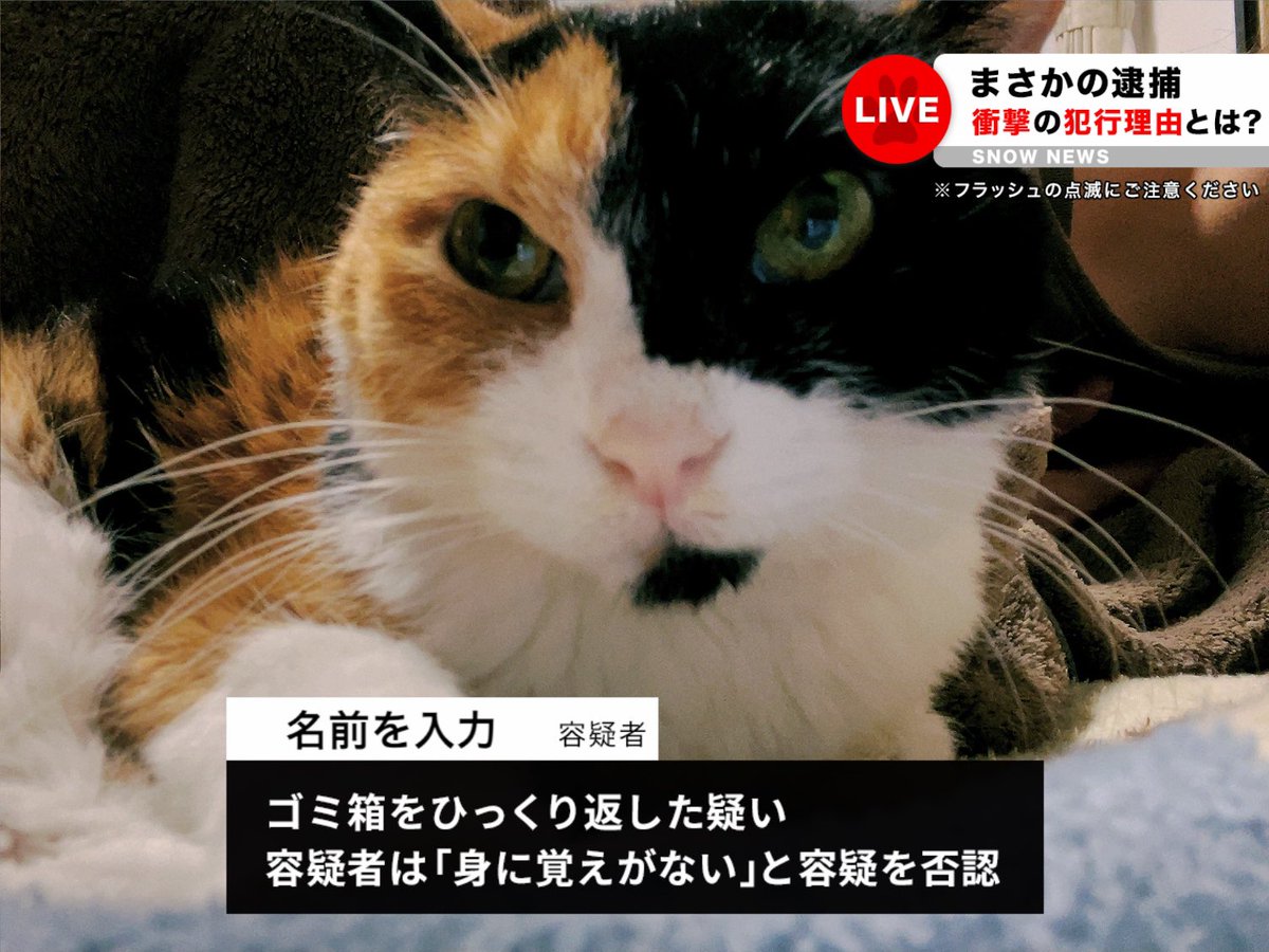 Babys1028's tweet photo. 12年間ありがとう。 https://t.co/joHn5qSGhb
