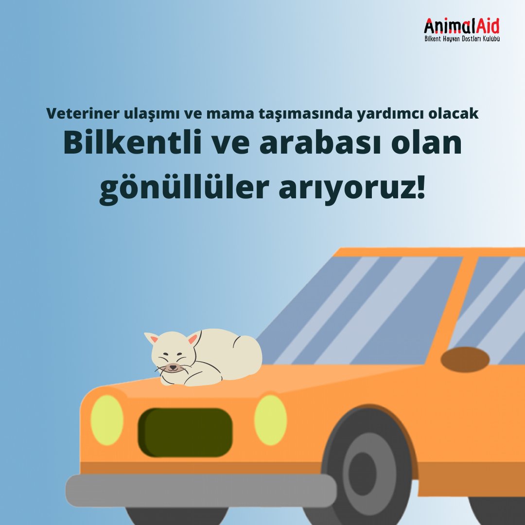 🚗 ÇOK ACİL ARABASI OLAN GÖNÜLLÜLER ARIYORUZ! 🚗

Bizi takip ediyorsanız kampüs hayvanlarımızın sık sık veterinere gidip geldiğini biliyorsunuzdur. Hem rutin ziyaretler hem acil durumlarda hayvanlarımızın veterinere götürülmesini sağlamak üzere "operasyon" adında bir ağımız var.
