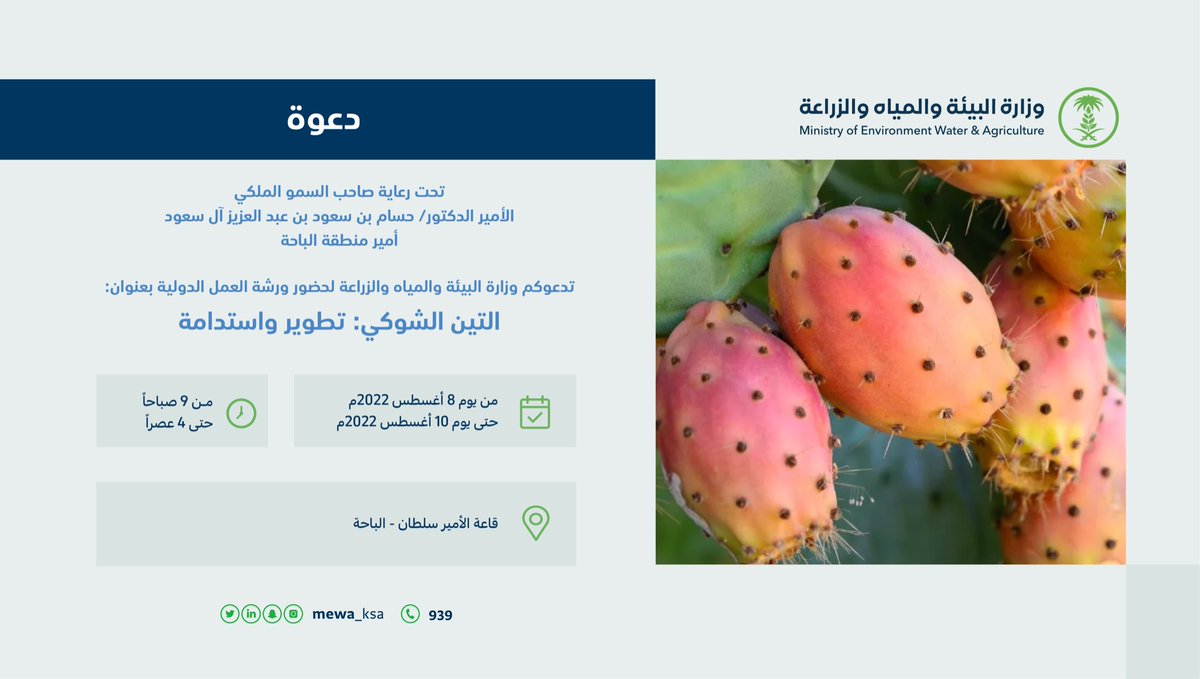 MEWA_KSA's tweet photo. تدعوكم الوزارة لحضور ورشة العمل الدولية بعنوان "التين الشوكي: تطوير واستدامة" في منطقة الباحة. https://t.co/f61fr8fNoW