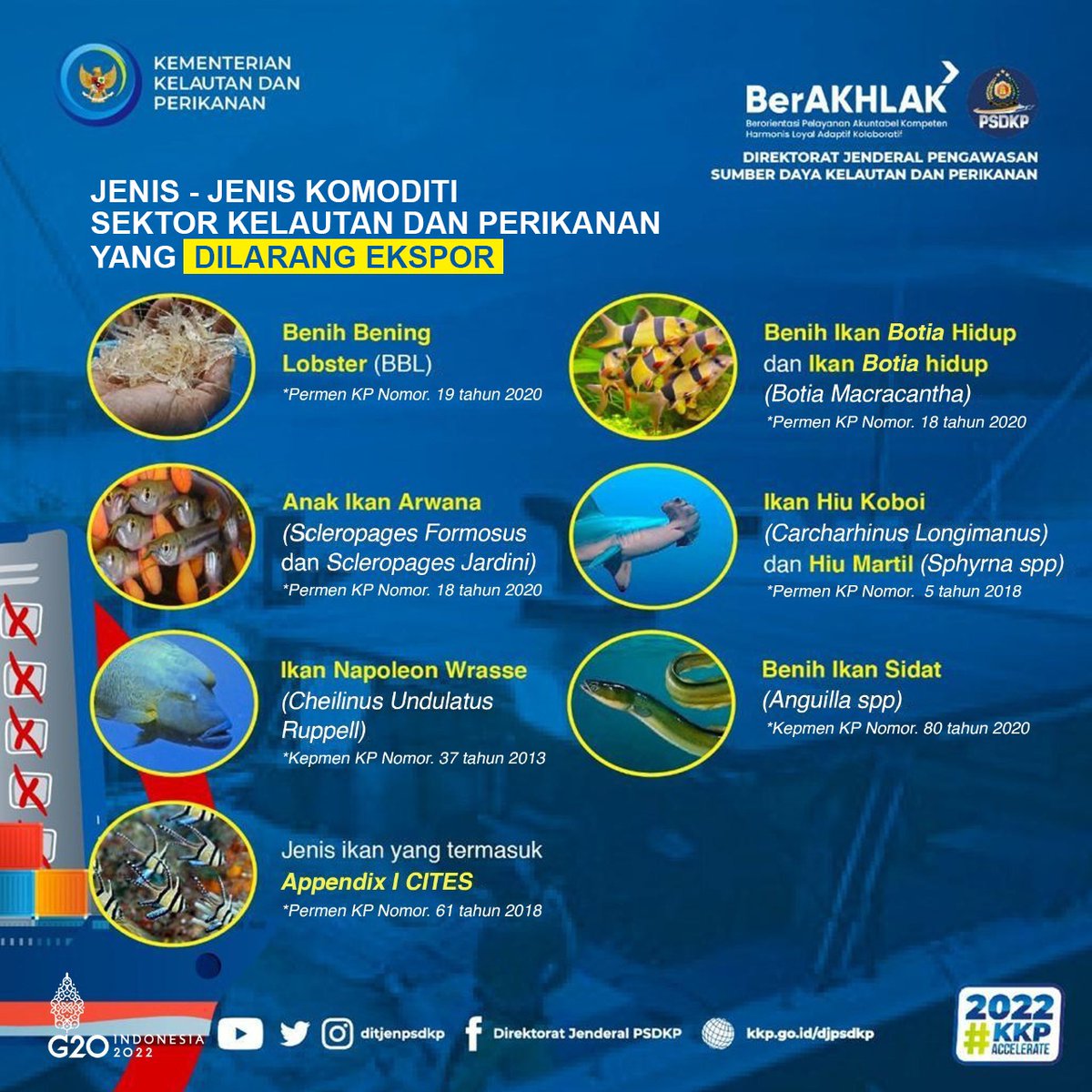 Ditjen PSDKP-KKP RI tweet media