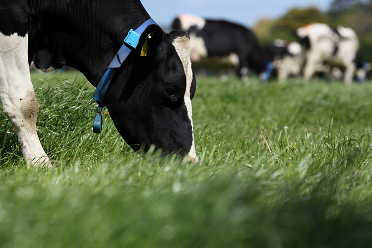 University College Dublin tweet media