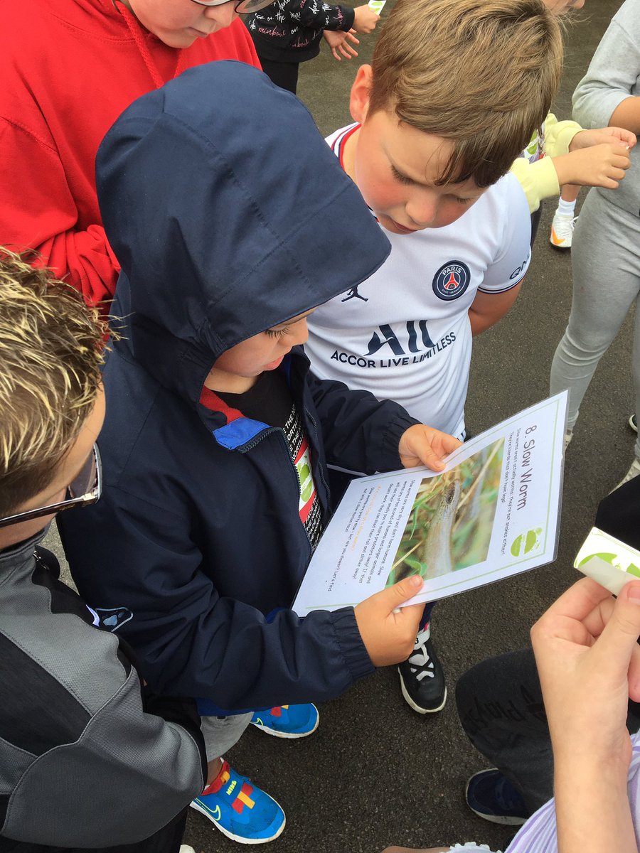 Food_Fun2022's tweet photo. Thank you Sarah @Ecoexplore for their visit today, the children @Food_Fun2022 Roseheyworth loved the Wildlife treasure hunt! 
@foodandfunwales @WelshLGA https://t.co/8YueOt2u3f