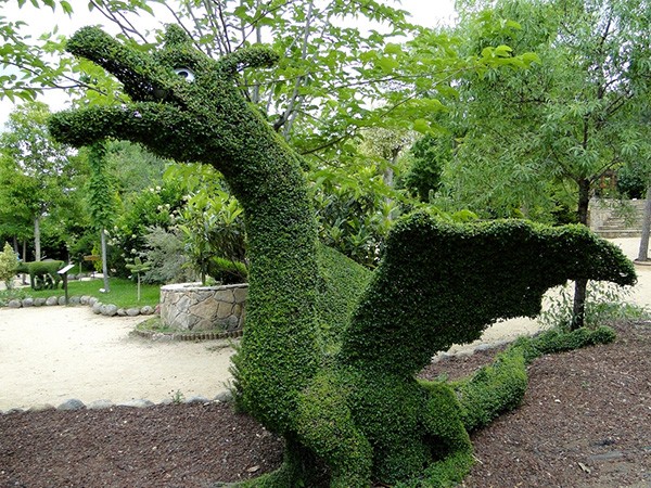 El Bosque encantado de San Martín Valdeiglesias dlvr.it/SVvzNs