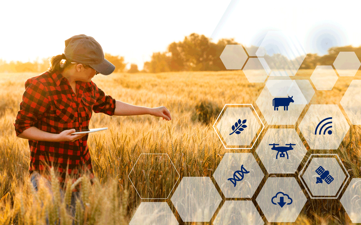 Want to explore Agri-Tech opportunities in New Zealand? <a href="/innovateuk/">Innovate UK</a> are welcoming applications to their Global Business Innovation Programme. Improve your company value proposition to international partners and apply now: bit.ly/NZ_Application