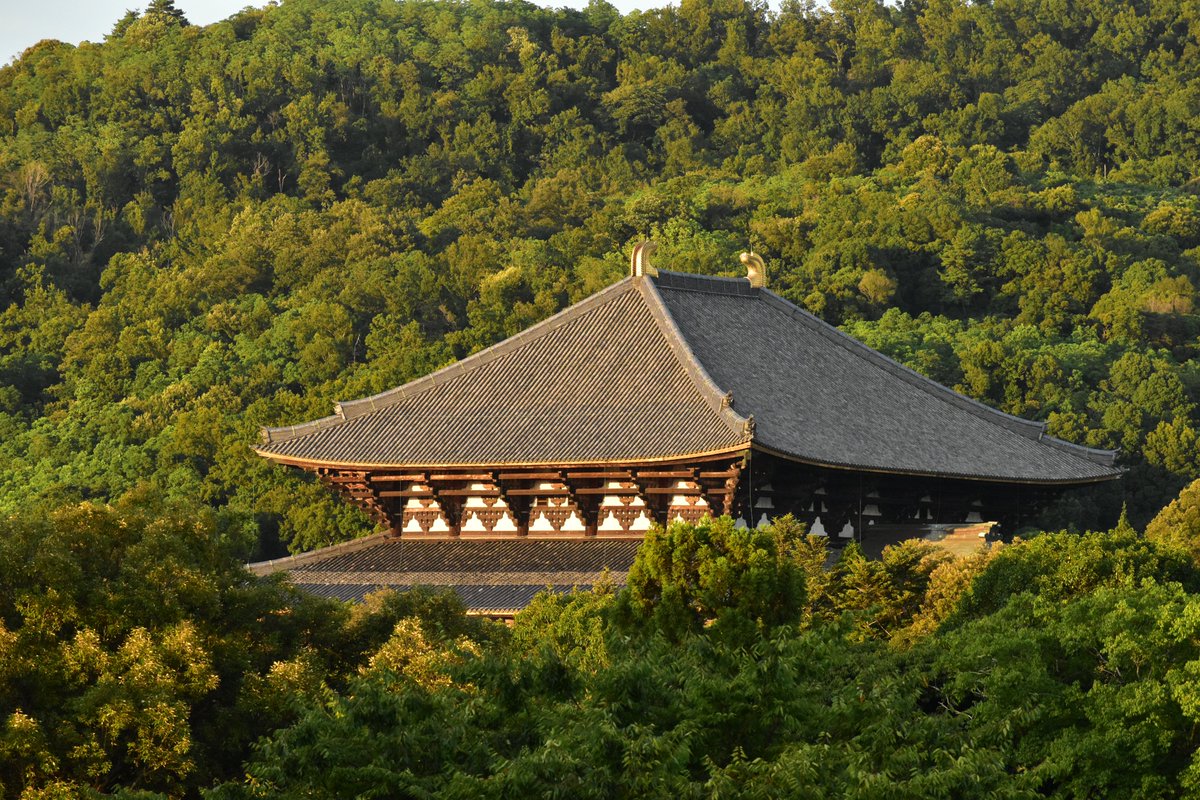 奈良・東大寺

夕暮れ、奈良バスターミナル屋上からの東大寺大仏殿
#奈良 #東大寺 #夕景 #奈良バスターミナル