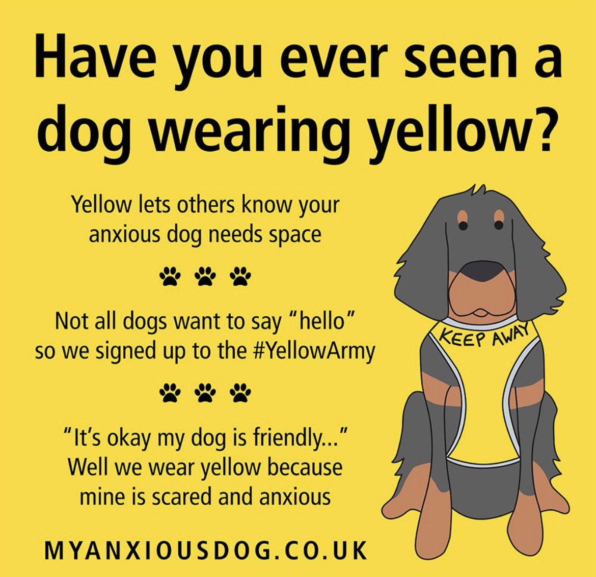 Frens impawtent information 💛💛💛💛💛💛💛💛💛💛💛💛💛💛💛<a href="/Myanxiousdog/">My Anxious Dog</a> #YellowArmy #dogsoftwitter #CatsofTwittter