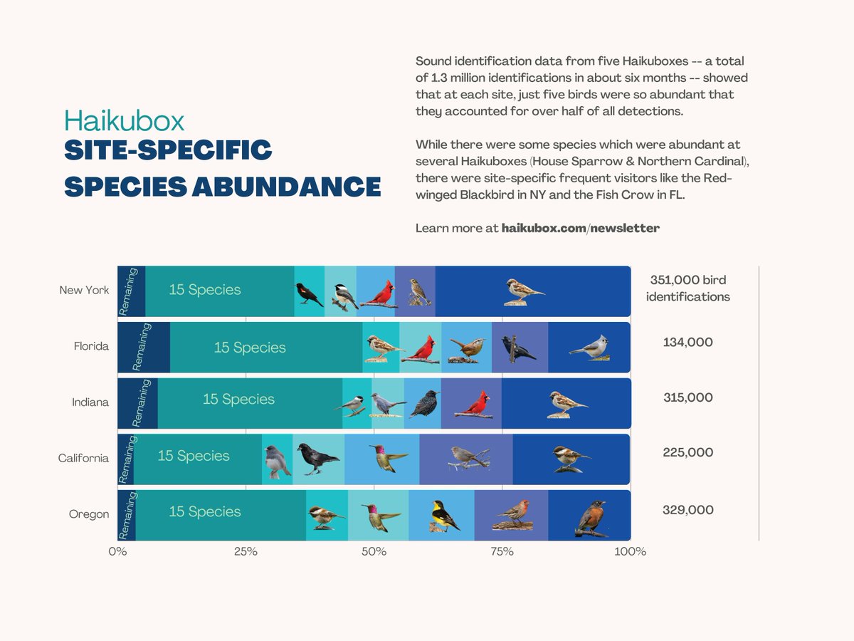 Haikubox identifies birds using their songs, chirps and peeps. Buy yours at haikubox.com.
