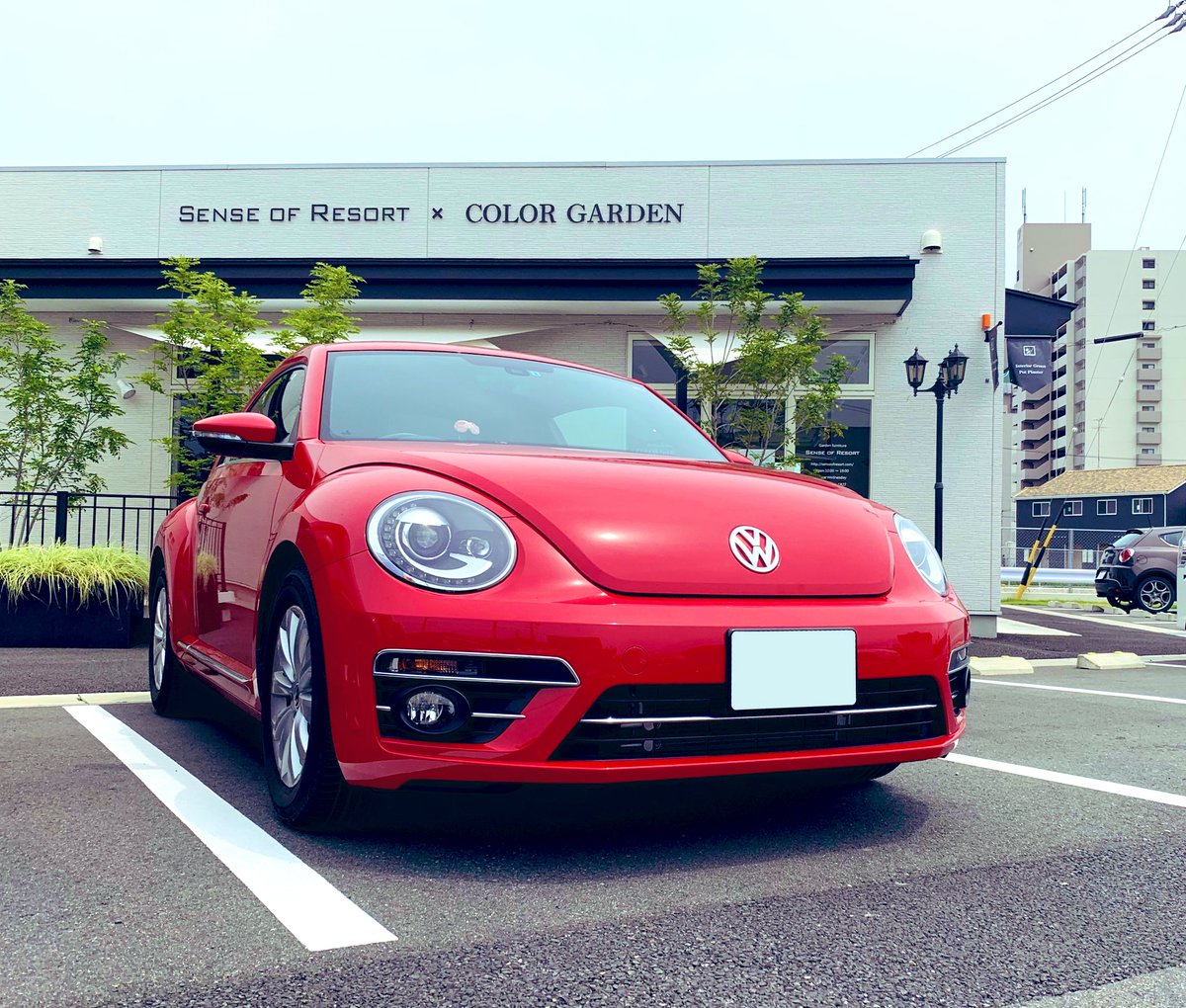 皆さんの車いくらで買ったんですか

このタグ面白い‼︎
私もビーちゃん大切に長く乗ってあげよう✨