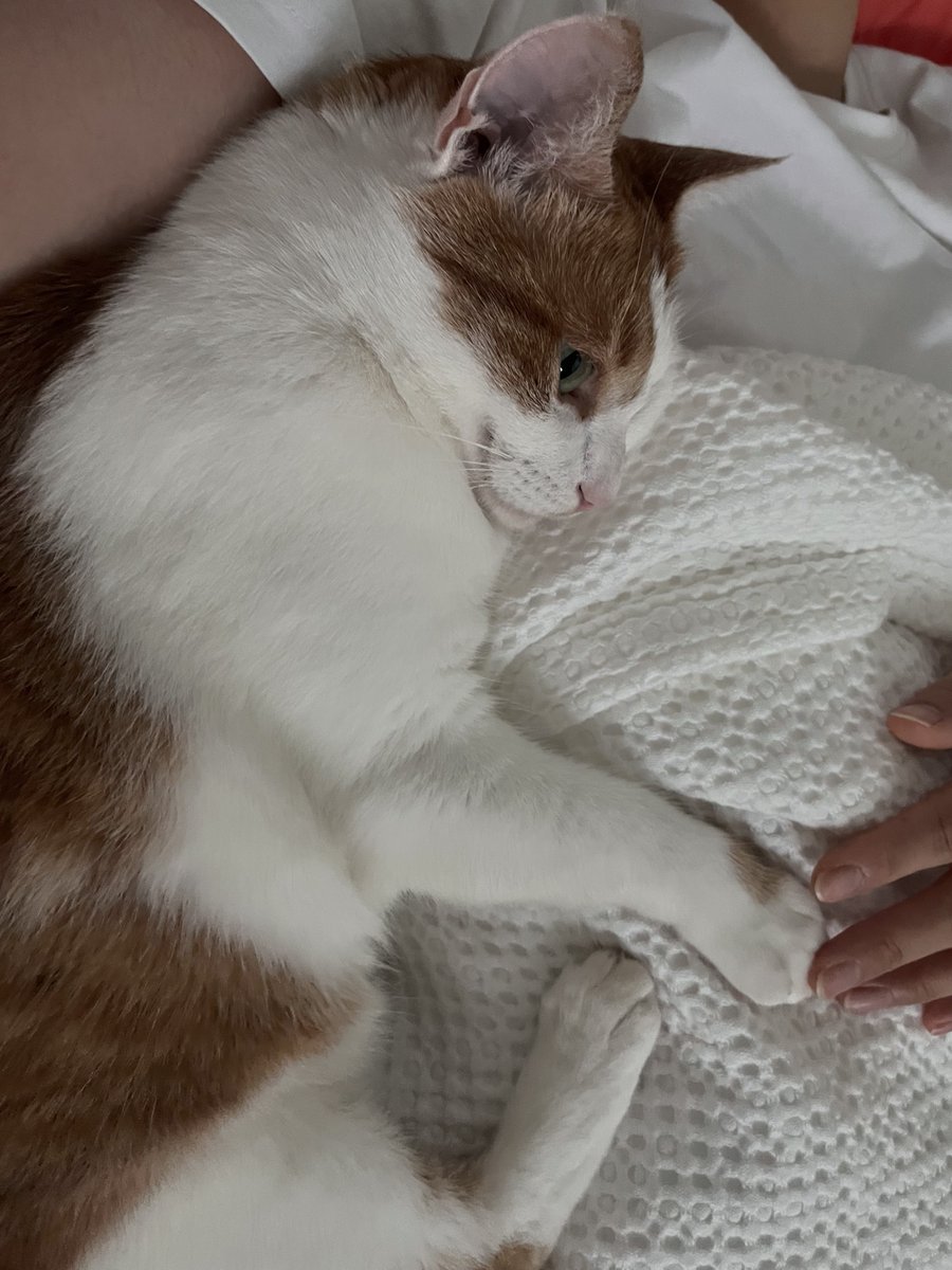 사람 같이 안겨 있네