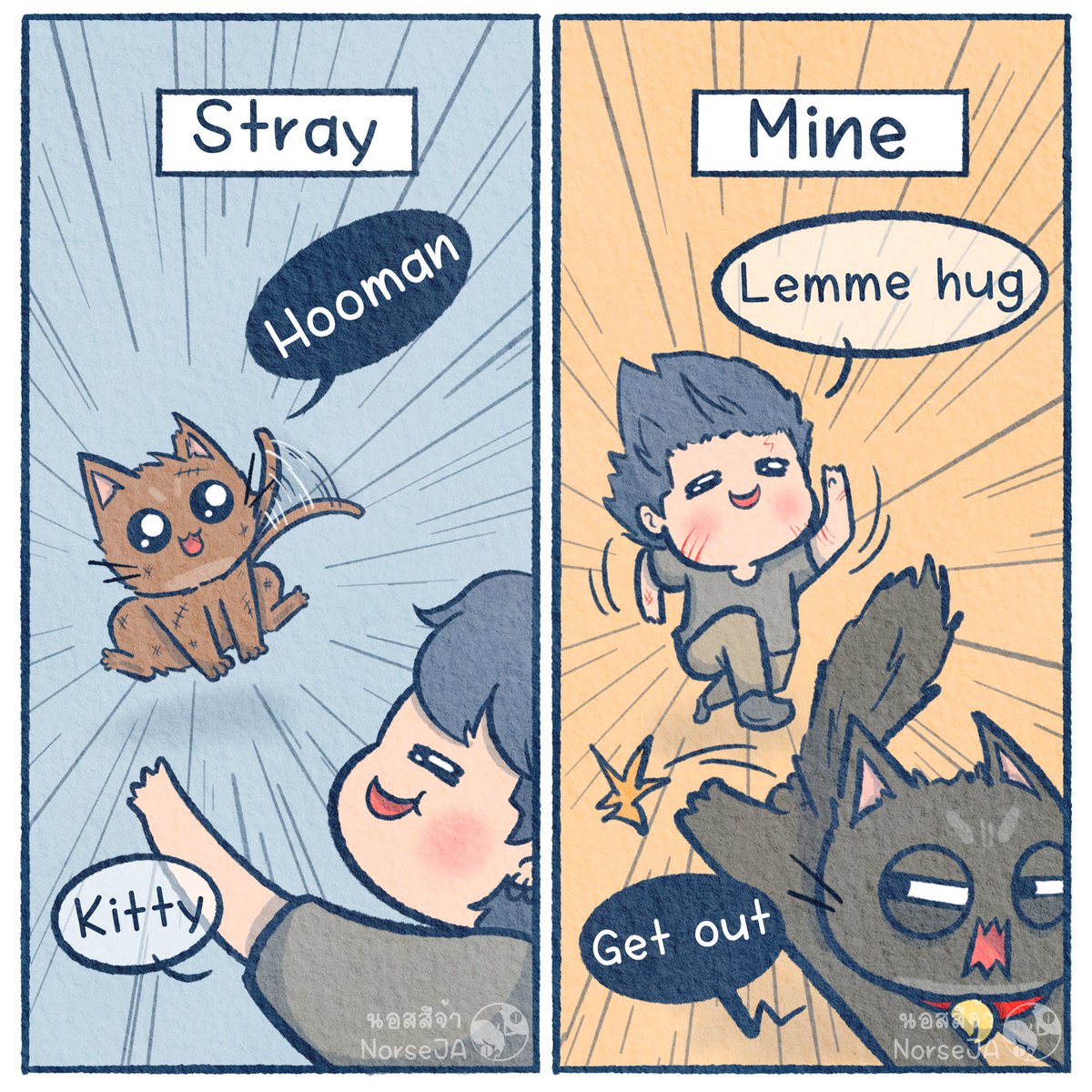 Stray vs Mine 😂 #CatsofTwittter