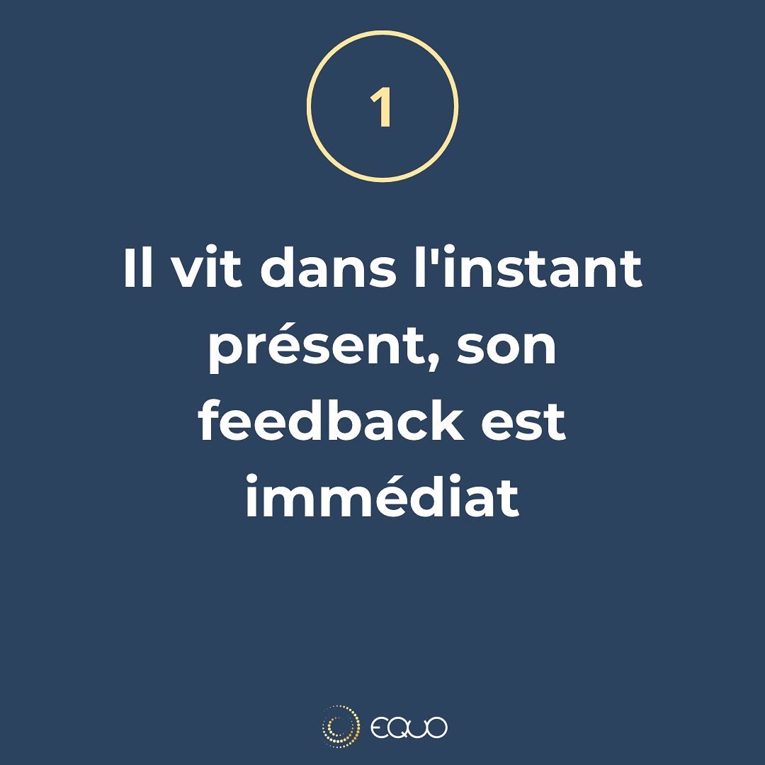 equo_coaching's tweet photo. #equo #equicoaching #formation #rh #management #coaching #intelligenceemotionnelle #qualiopi #entreprise #leadership #goals #teambuilding #seminaire #experienceclient  #polehippolia #innovation https://t.co/6BIxY2tLcN
